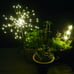 Solar Garden Lights Solar Firework Lights Solar Powered String Light