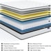 Vesgantti Twin XL Mattress, 10 Inch Hybrid Mattress (39 x 80 x10 Inches)