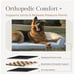 Orthopedic Dog Couch: Providing Optimal Support, Comfort, and Style for Your Dog
