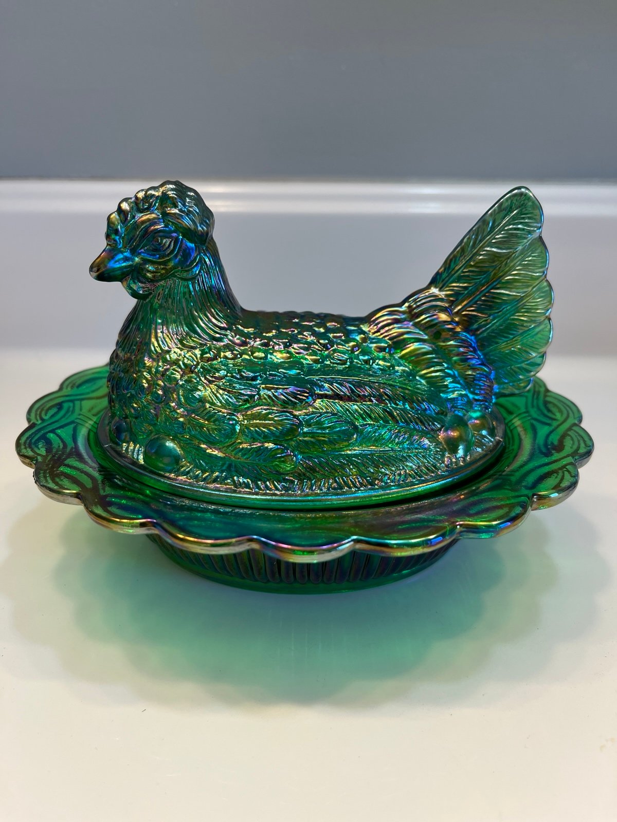 Hen on nest