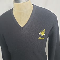 Vtg Iowa Hawkeyes Sweater Mens Herkey V-Neck