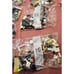 LEGO Ideas Tuxedo Cat 21349