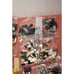 LEGO Ideas Tuxedo Cat 21349