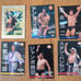 New Japan Pro-Wrestling Card Set - Approximately 40 Cards