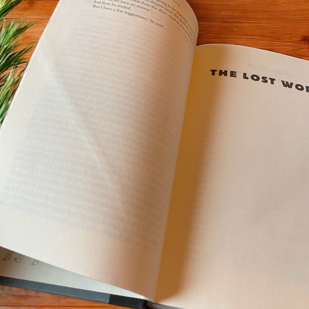 VINTAGE 1995 First Edition Michael Crichton - The Lost World Hardcover Sci-fi - detail