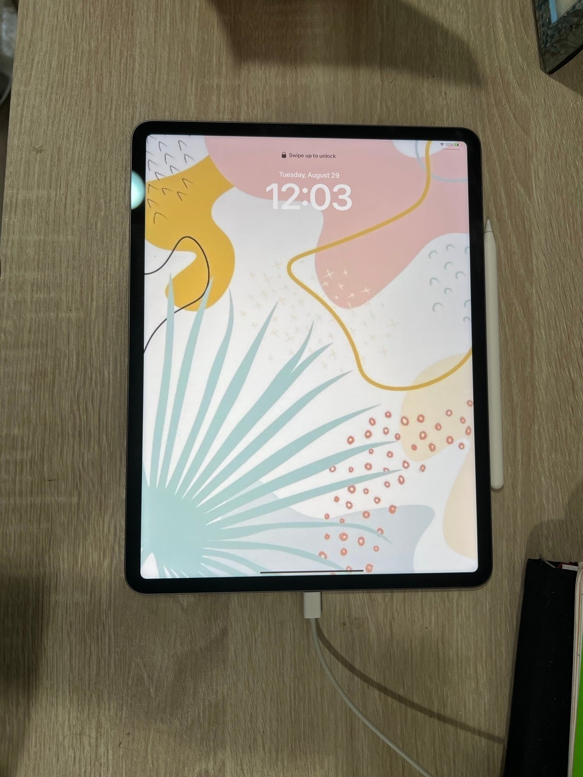 iPad Pro 13 in