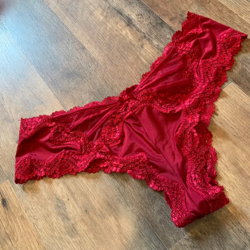 Vs vintage strappy mesh lace trim cheeky panty