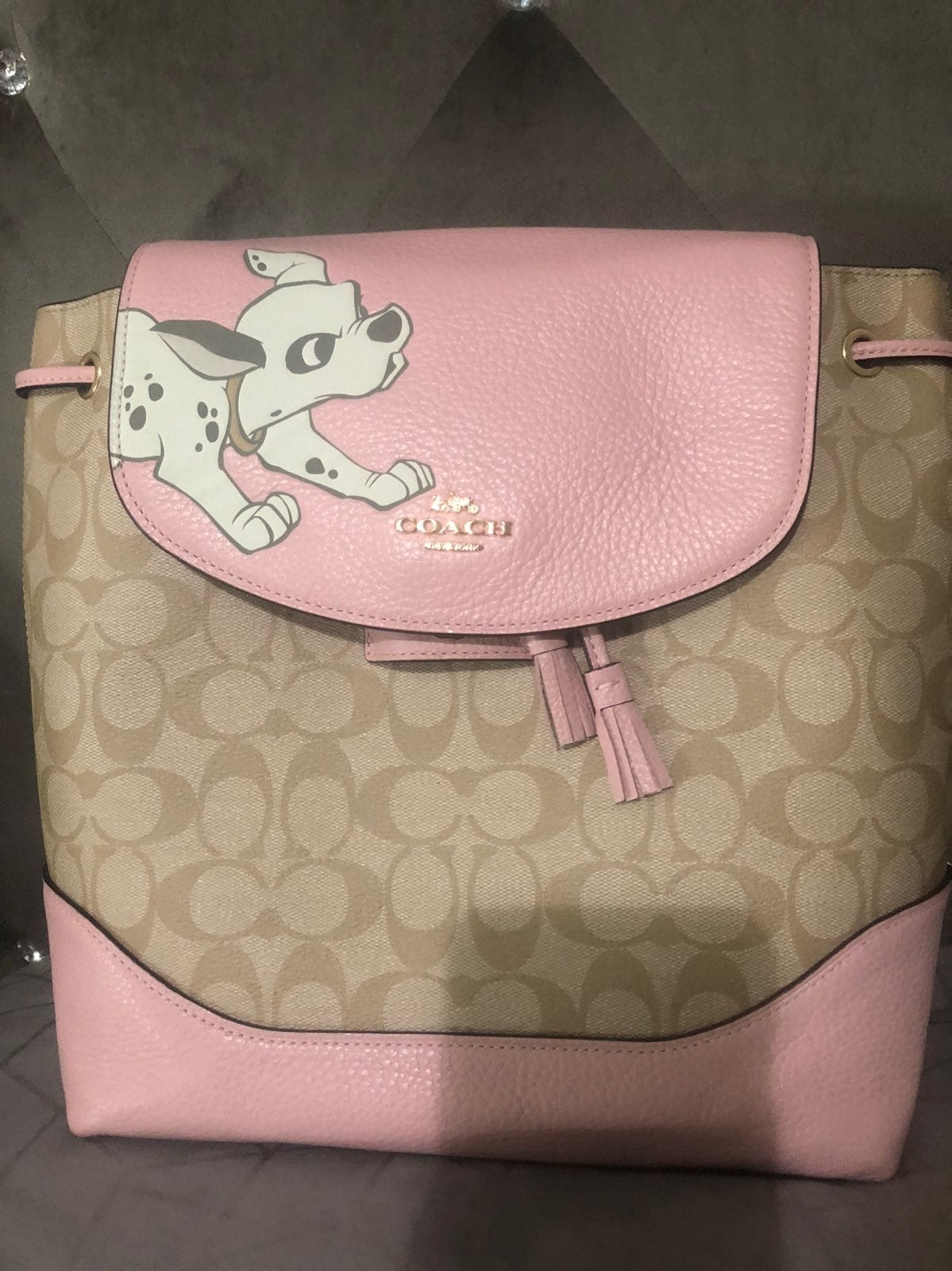 Coach Disney backpack
