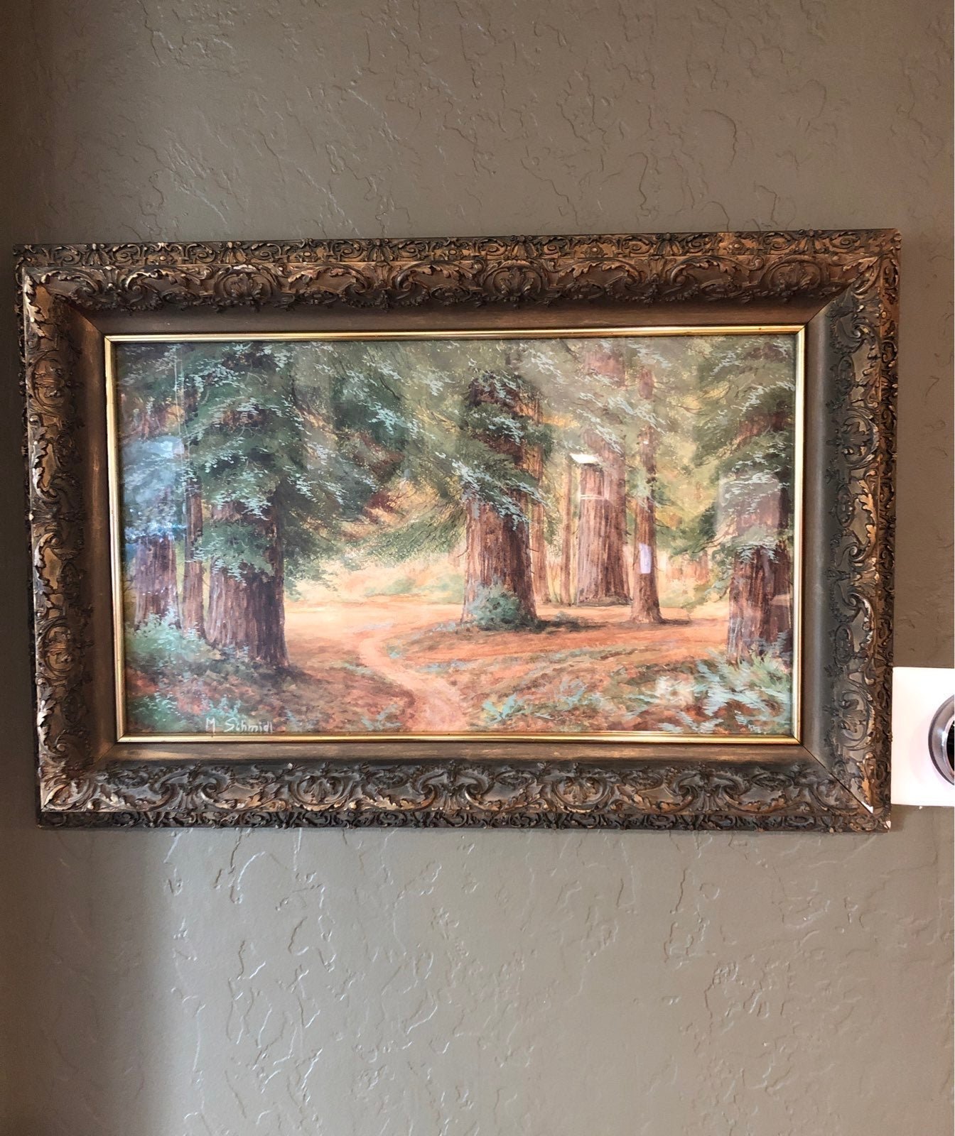 Antique artwork M.Schmidt. Redwood trees in frame