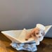 Lladro Little Stowaway Dog Figurine
