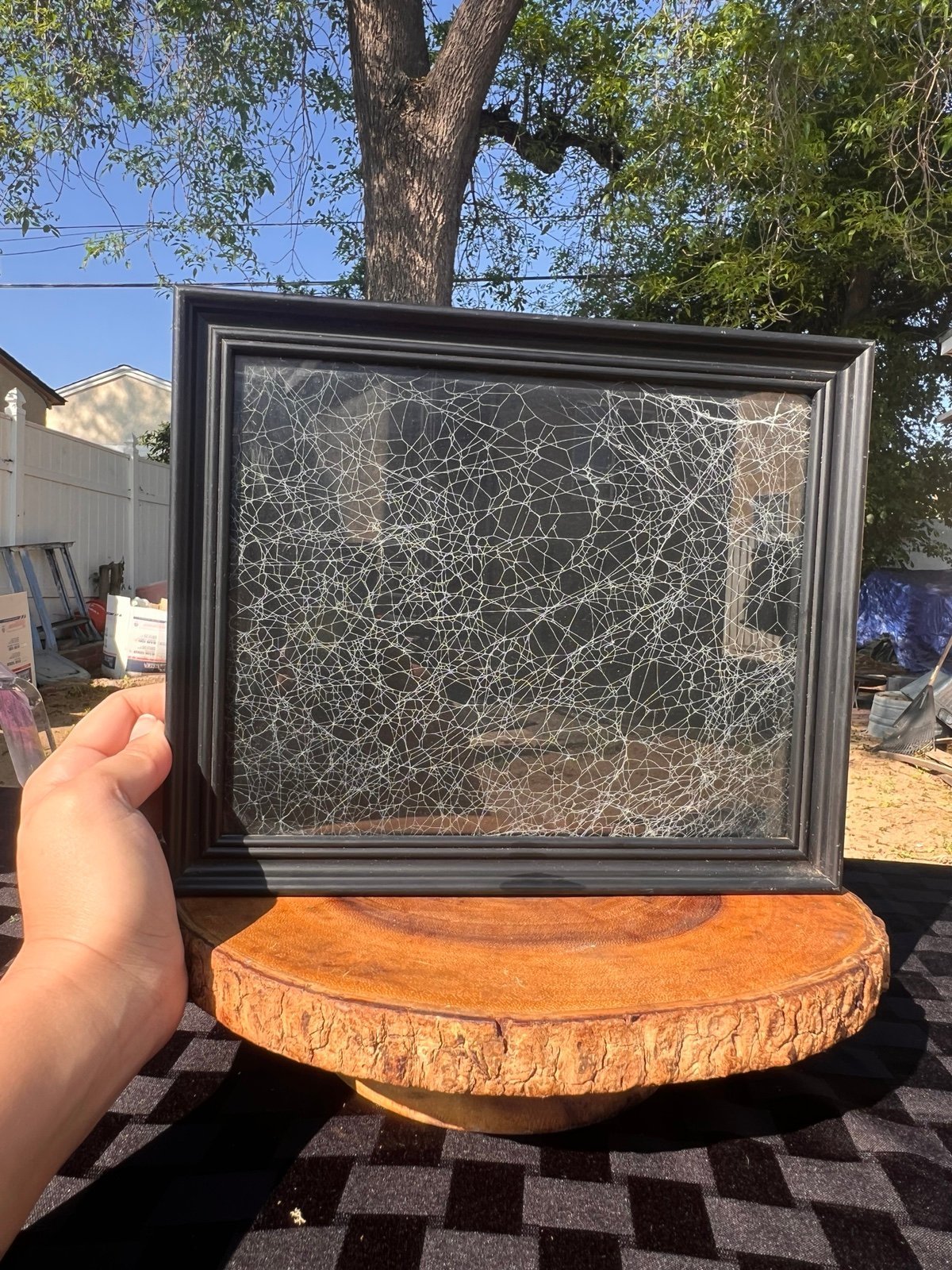 Spider picture frame