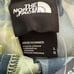 NWT The North Face Trunks Shorts Bathing Suit Sz L Swim Beach Pool Men Flashdry