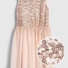 GAP Sequin Tulle Dress