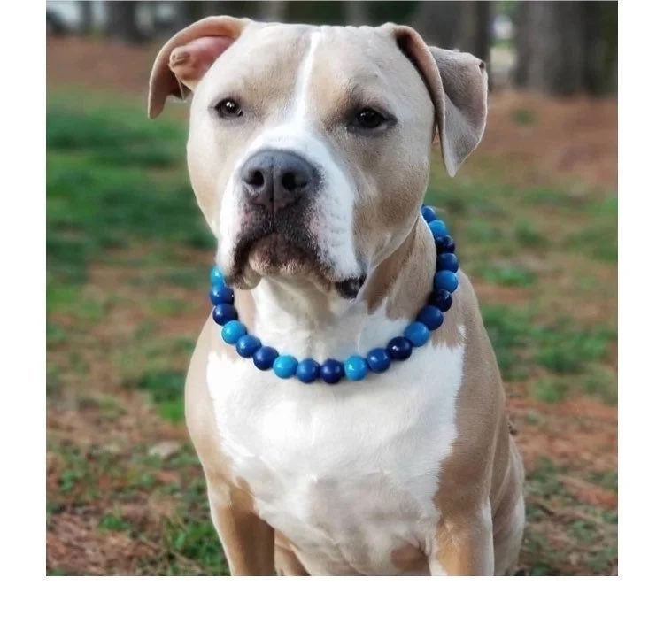 Blue Ombré Wooden Bead Dog Collar