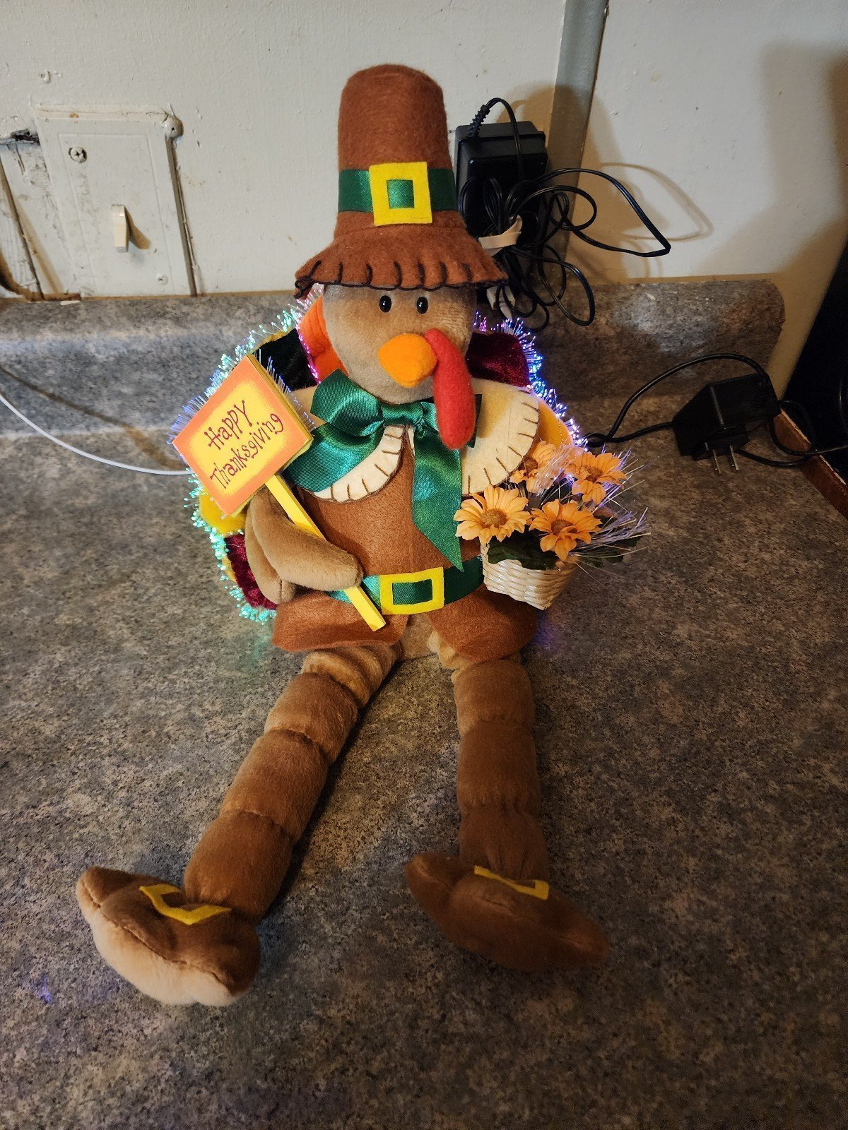 Fiber optic Turkey