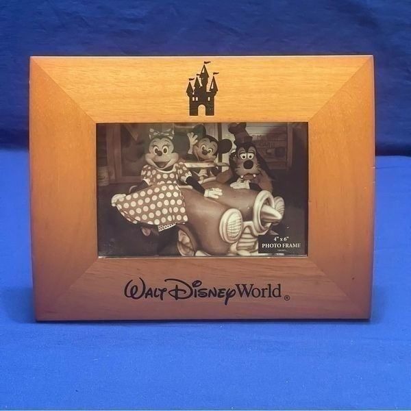 Walt Disney World Frame
