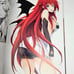 Miyama-Zero Art Works High School DxD Art Book Illustration Collection Artbook