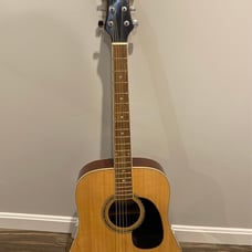 Acoustic Guitar