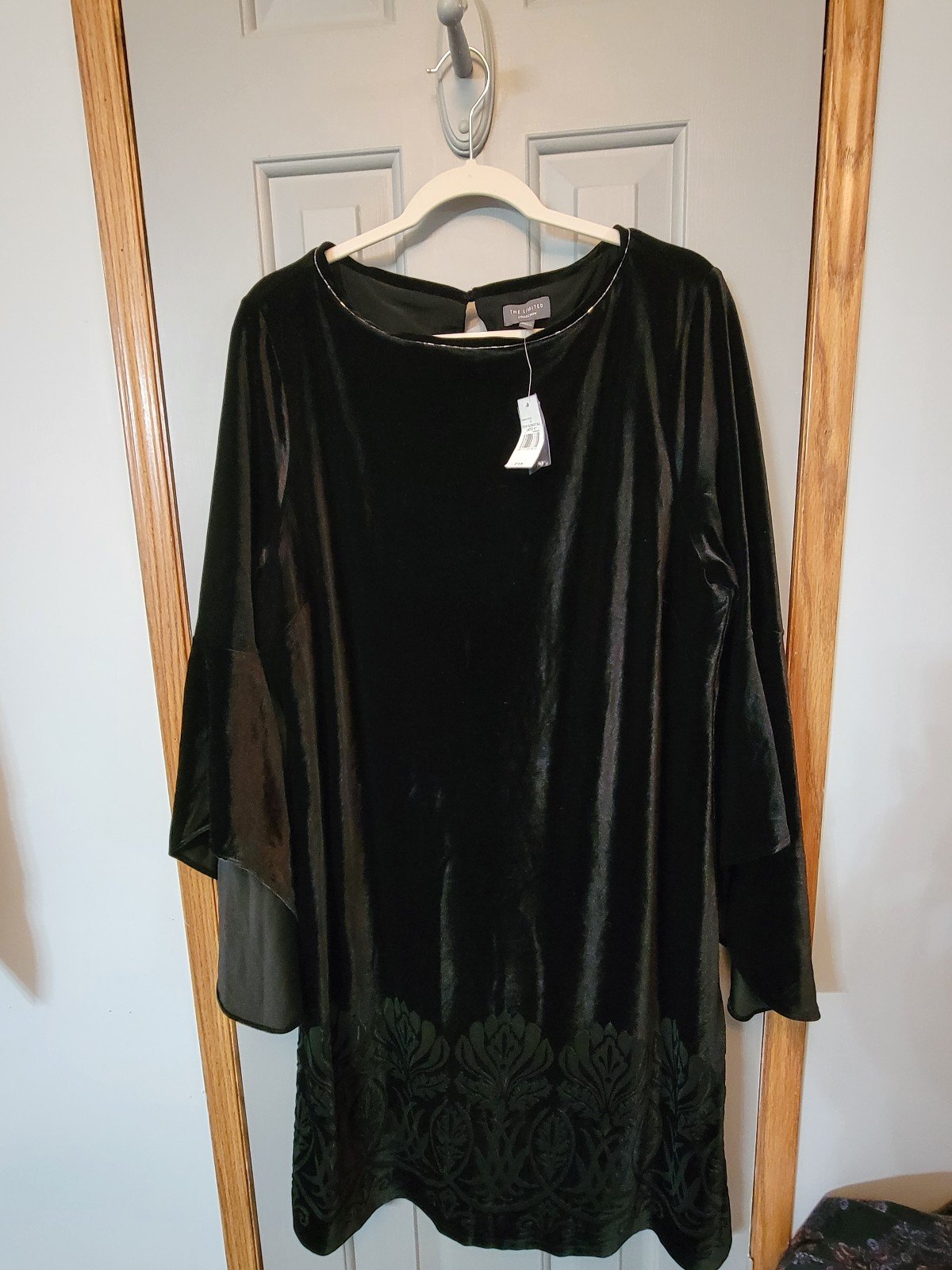 The Limited Peony Burnout Dress