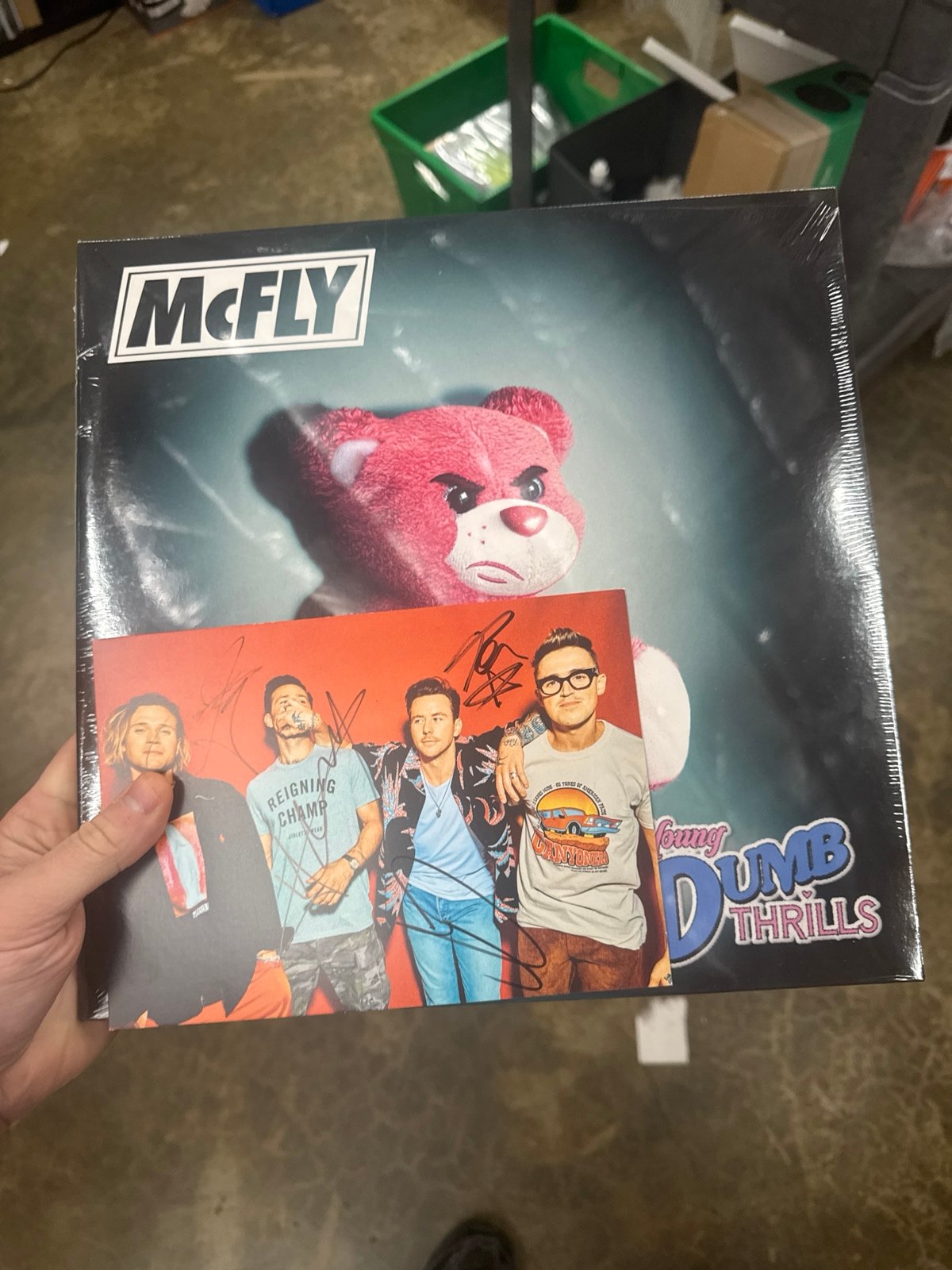 Vinyl mcFly Young dumb thrills Green vinyl was signed our card by the band