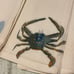 (8) Pottery Barn Sea Critter Cloth Napkins Playa Life Crab Turtle Fish Octopus