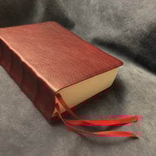 Literal standard version Bible rebind