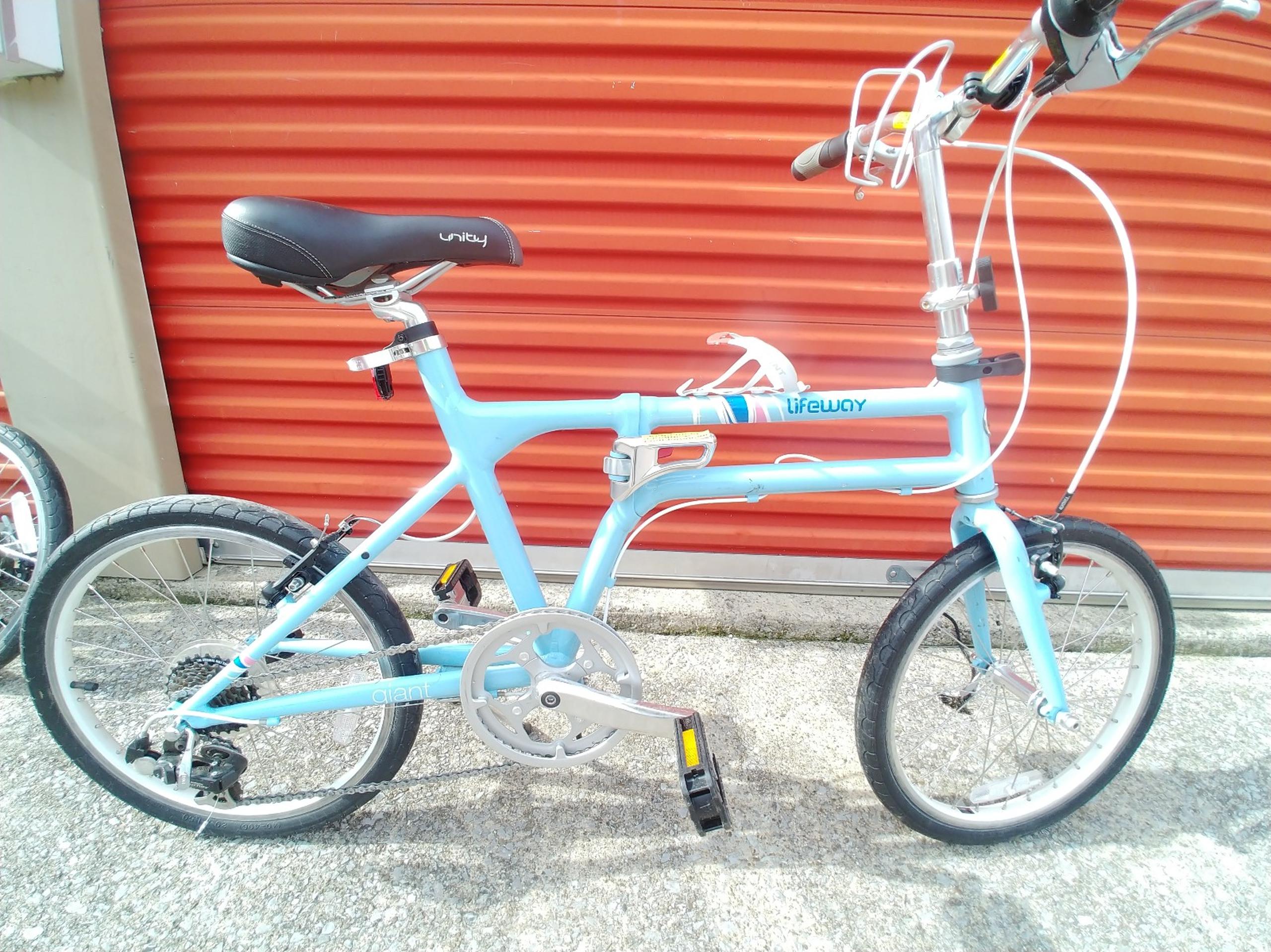 Rare Giant Liv Lifeway folding bike