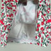 Tail Women's XL Cherries Print Athleisure Golf Skort with Pockets