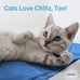 Cooling Pad for Pets Pressure-Activated