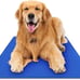 Cooling Pad for Pets Pressure-Activated