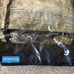 bassinet & rain shield for UppaBaby Minu