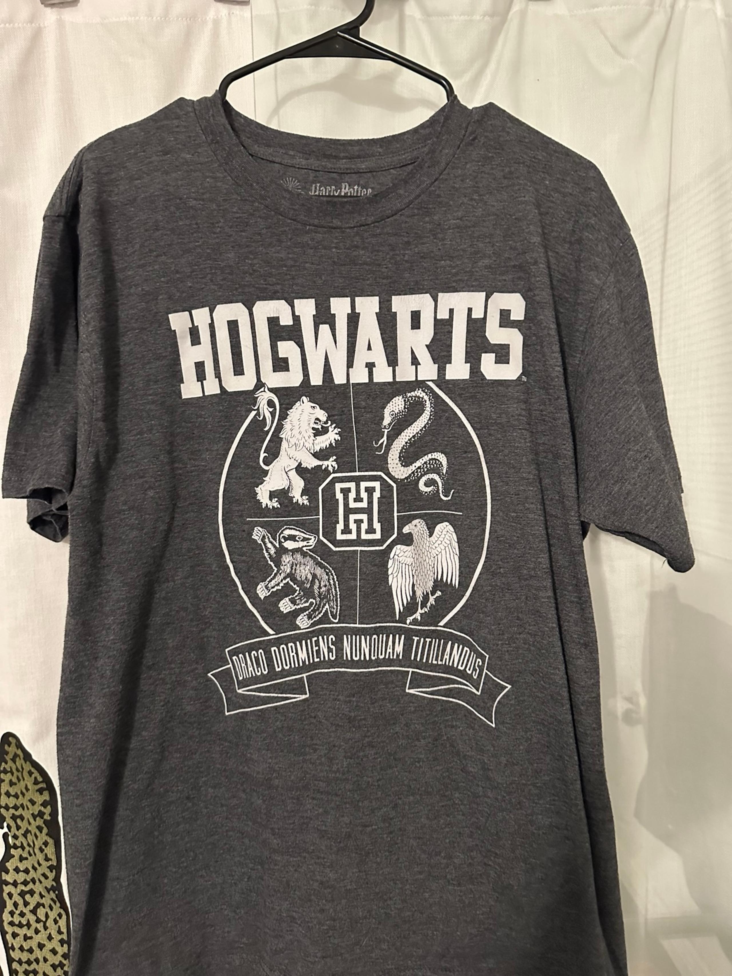 Men's Harry Potter, Hogwarts T-Shirt, Large