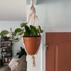 Macrame plant hanger