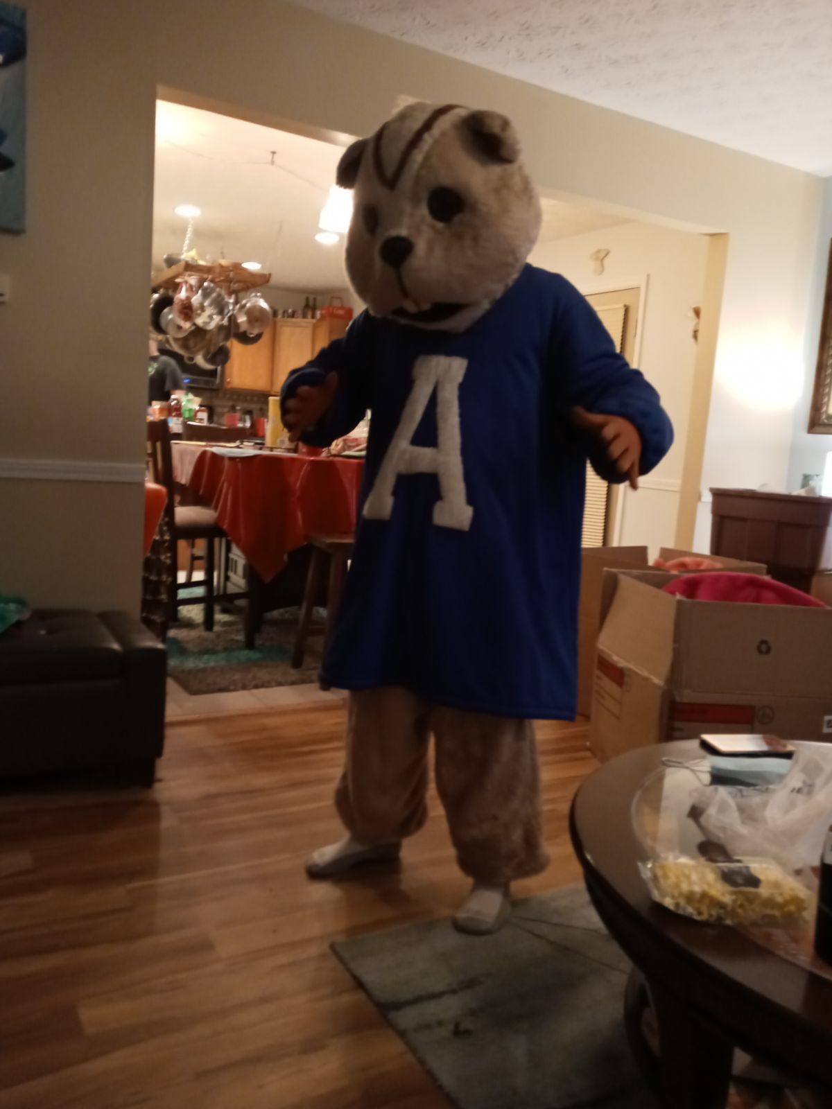 Full size adult chipmunk costume handmade