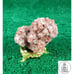Aragonite Metaphysical Properties 0 lb 10.7