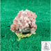 Aragonite Metaphysical Properties 0 lb 10.7