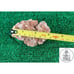 Aragonite Metaphysical Properties 0 lb 10.7