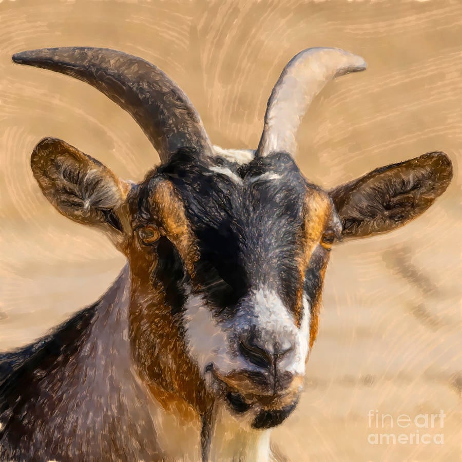 Digital Goat Art