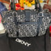 DKNY Handbag