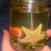 Under water themed candles