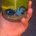 Under water themed candles