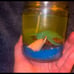 Under water themed candles