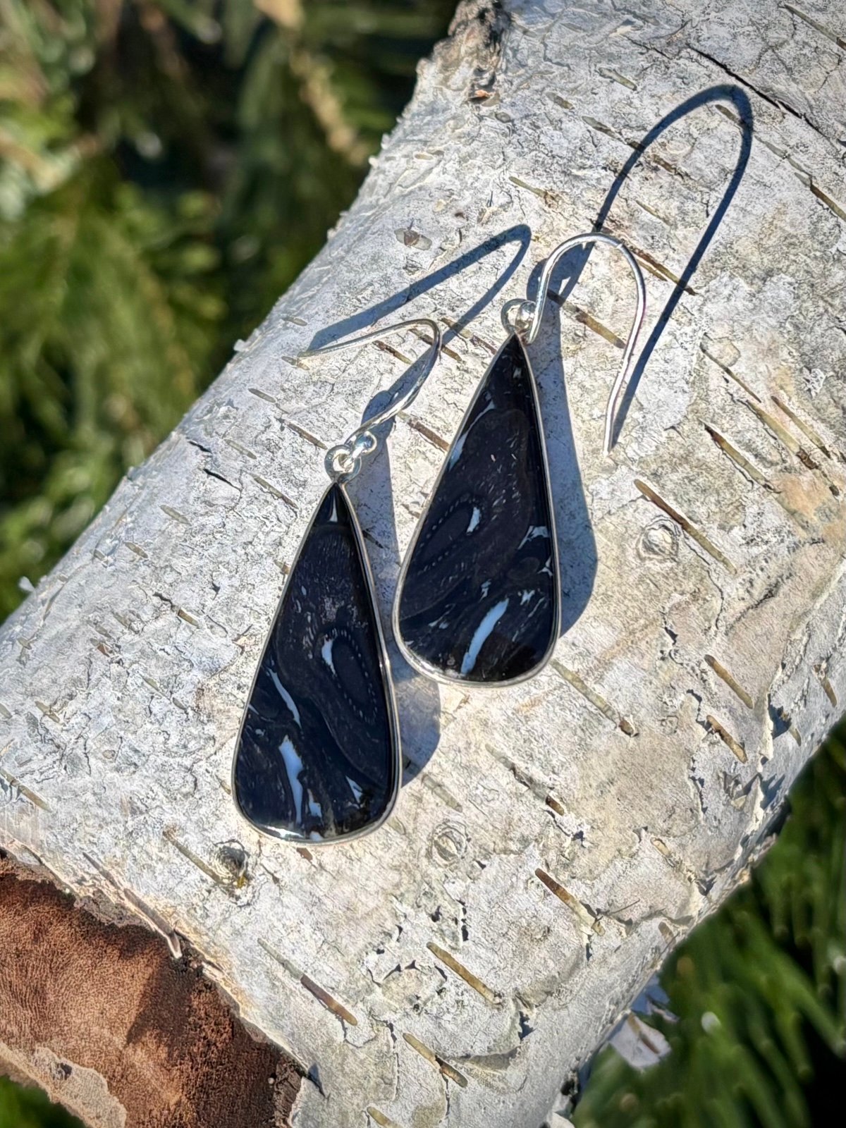 Black Plume Root Agate Earrings