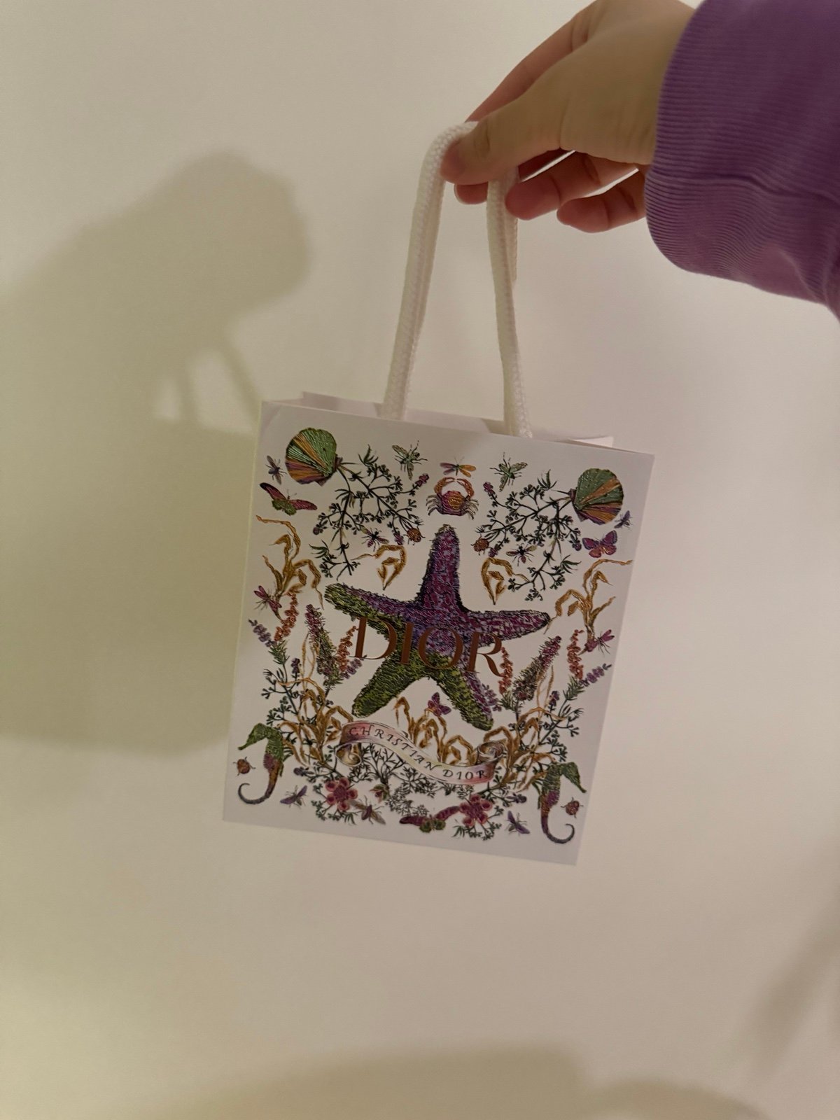 Dior 2024 Christmas Limited Edition Shopper Paper Bag Holiday Collection