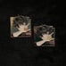 Foreign Danheng (HSR) Pin Set