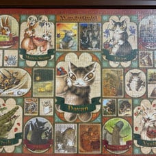 *Dayan* Wachi Field Rare 1000 Piece Cat Puzzle by Akiko Ikeda Character Encyclopedia