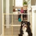 MYPET North States MyPet Extra-Wide Wire Mesh Safety Pet gate