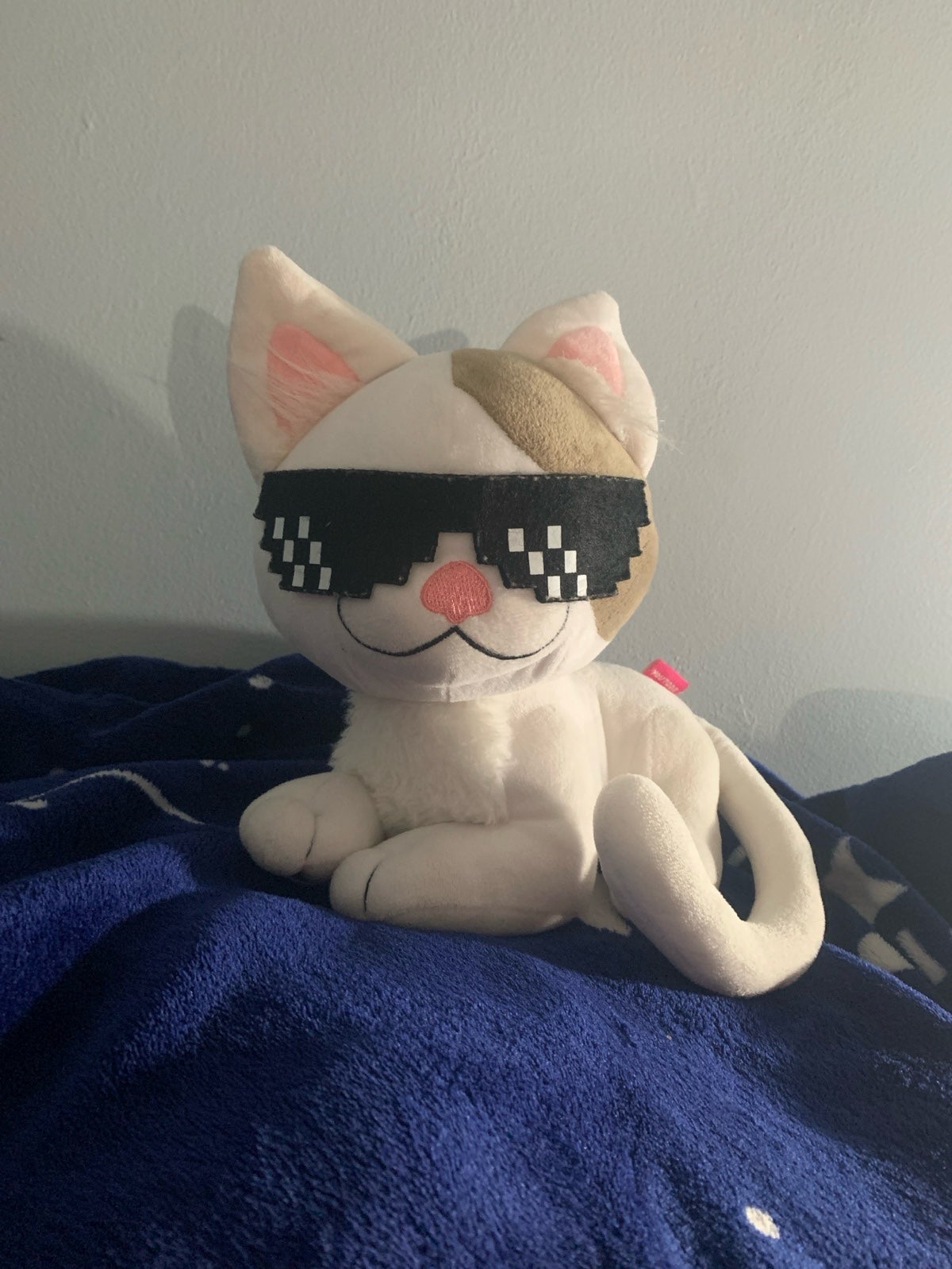Youtooz Beluga Cat Plushy