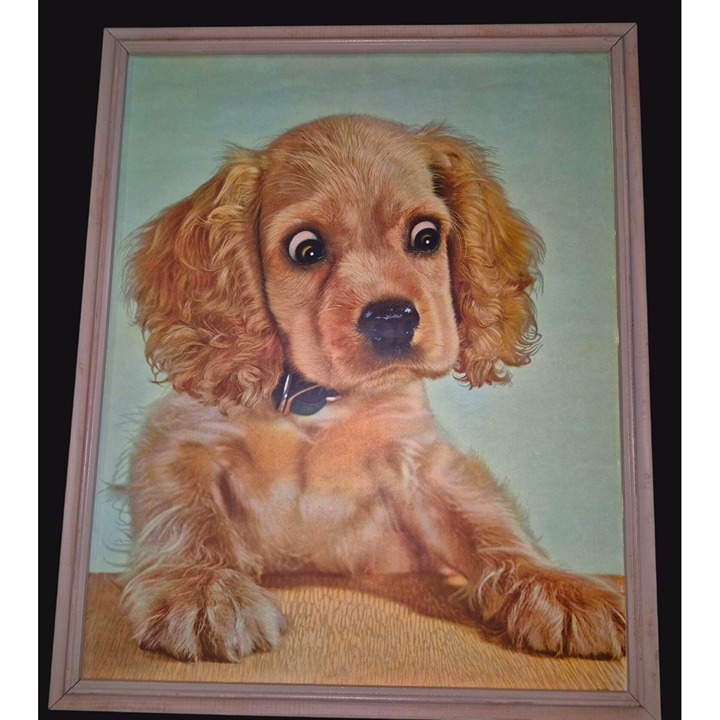 Vintage Framed Cocker Spaniel Puppy Lithograph Wall Art Big Eyes