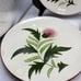 Vintage Stangl Pottery 6 Bread Plates Set of 4 Thistle Design